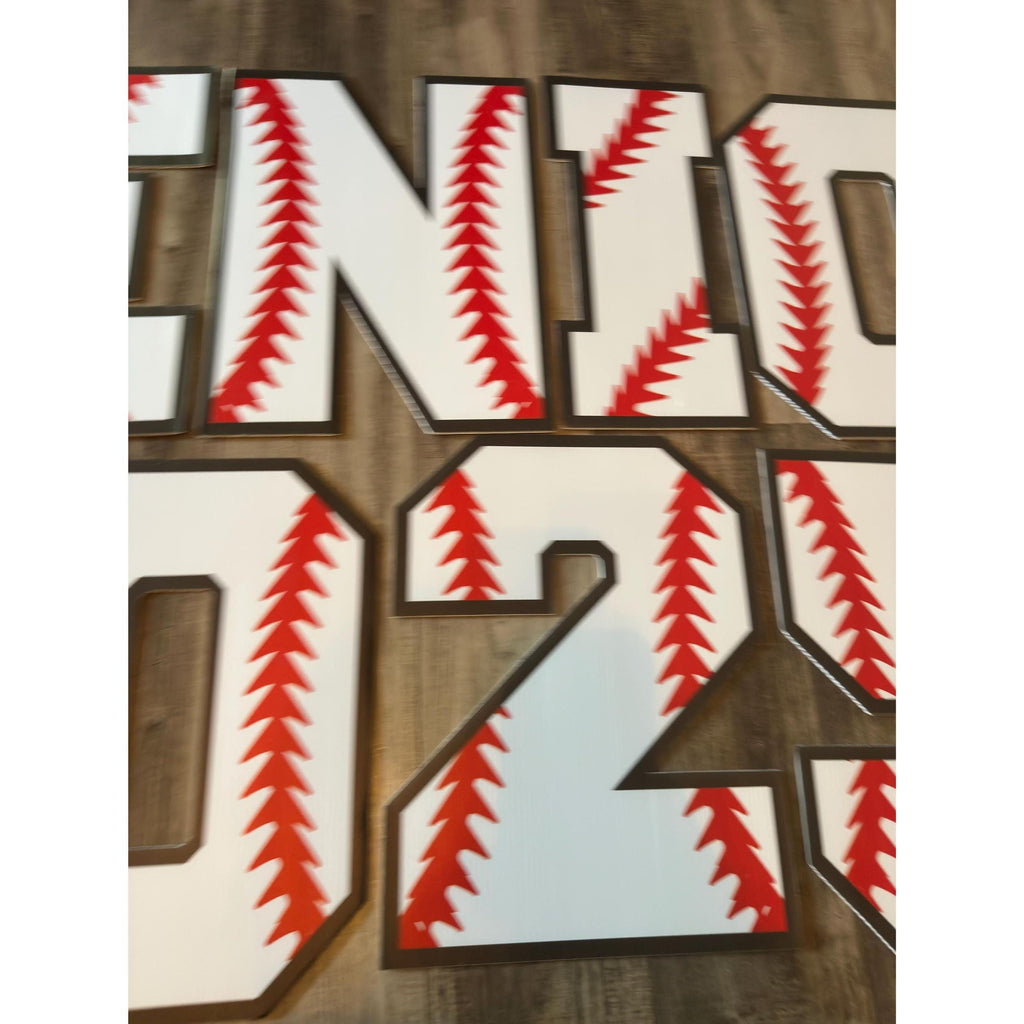 Senior 2025 Lawn Decor: Cardboard Graduation Party Signs (14x11). Ship Fast!