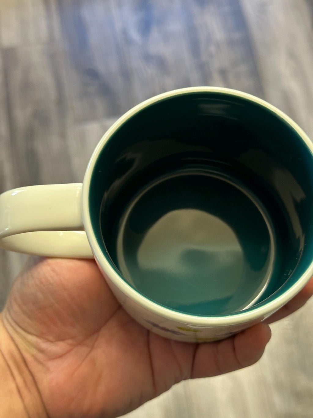 Starbucks Universal Hollywood Studios You Are Here Mug. Ship Fast!