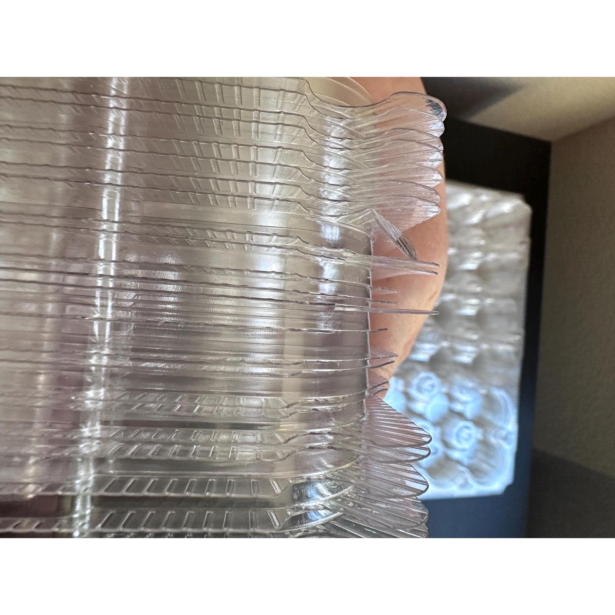 Mini Cupcake Containers, 24 Clear Plastic Stackable Boxes with Dome Lids