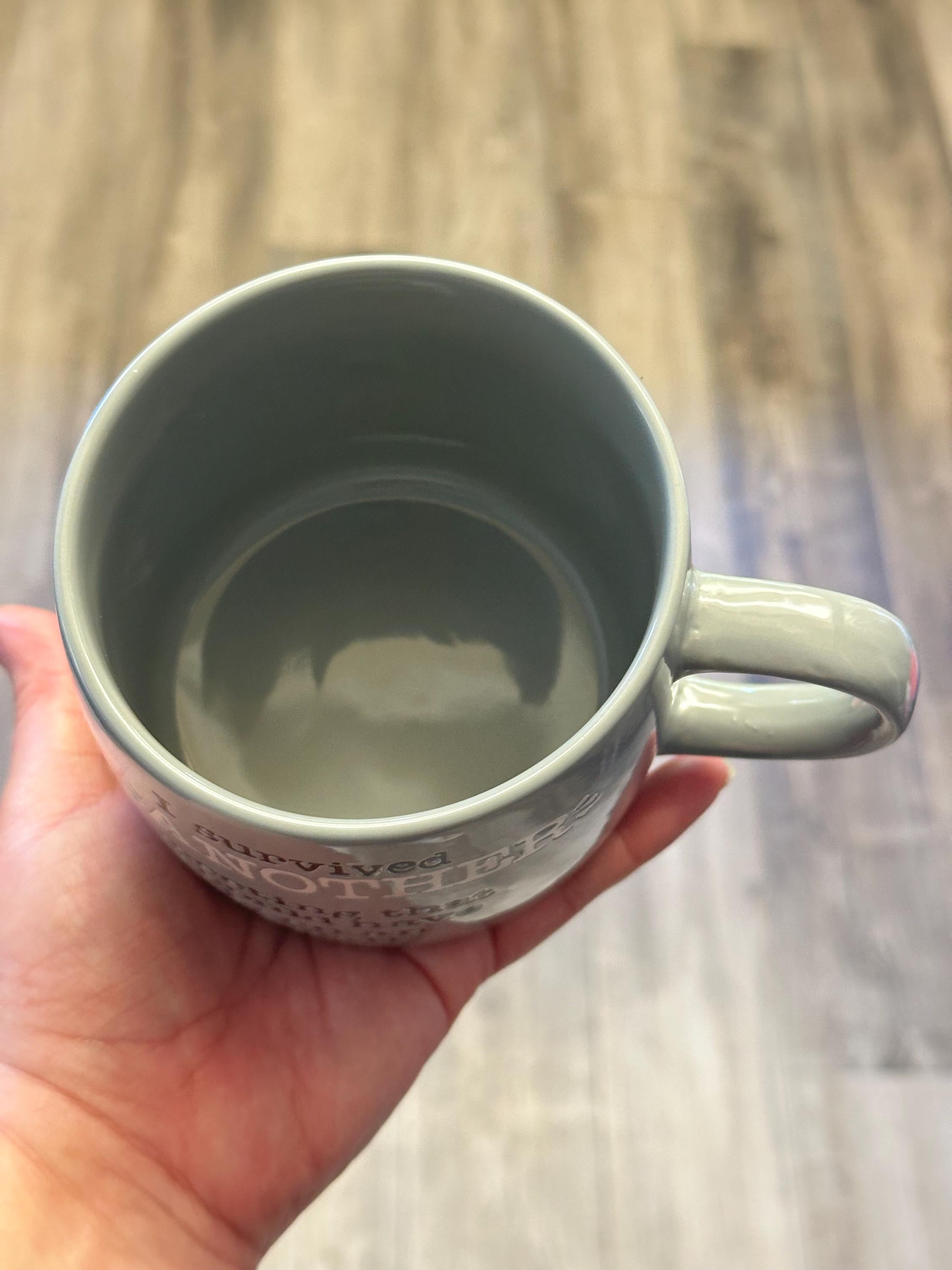 Funny Office Mug – I Survived Another Meeting, 14 oz Ceramic. Ship Fast!