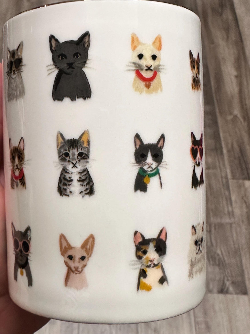 Colorful Cat Faces Coffee Mug with Gold Handle, 12 oz