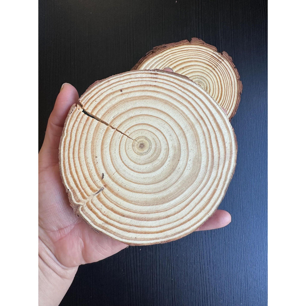 Unfinished Wood Slices (20 pcs) | Rustic Craft Kit for Wedding & DIY Decor. Ship fast!