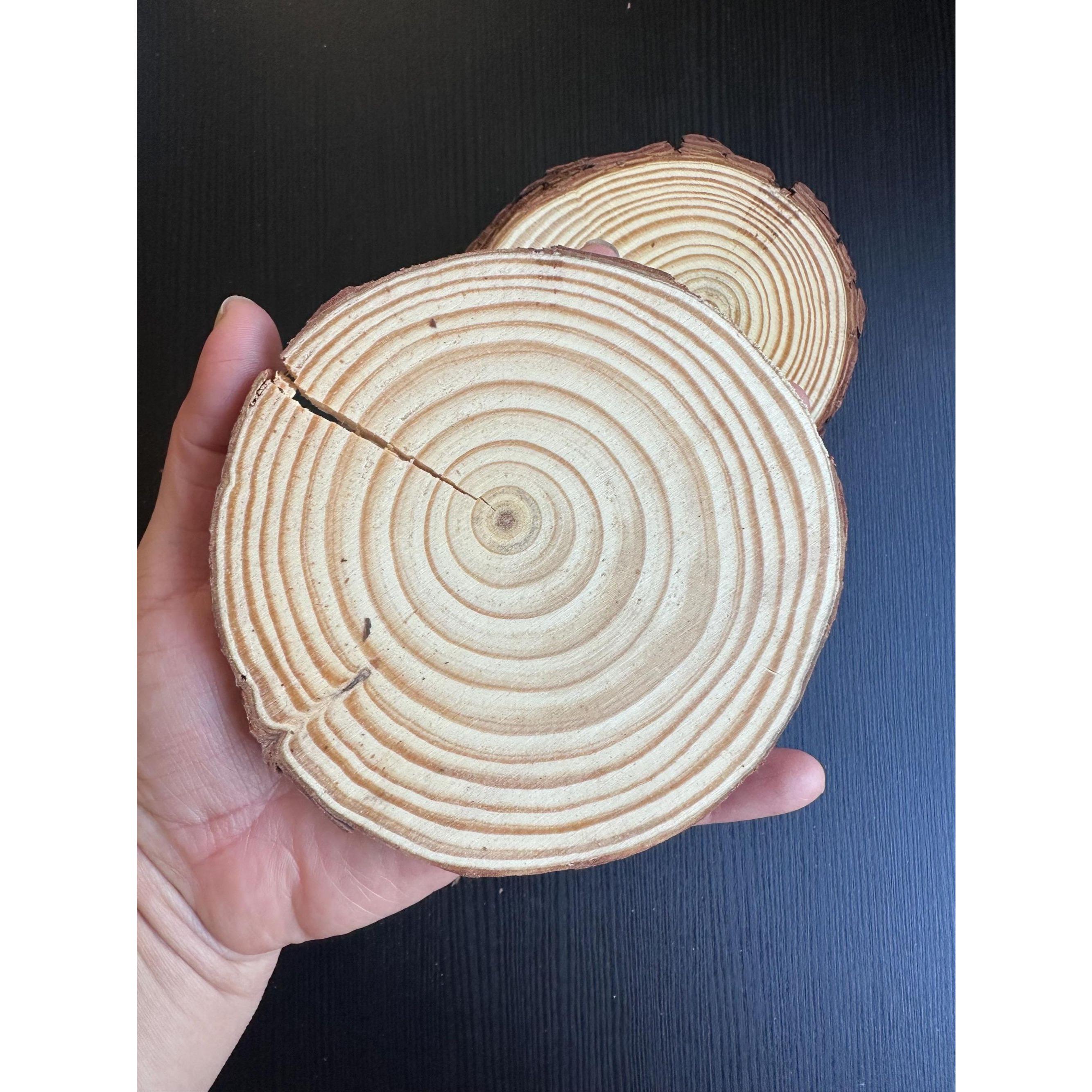 Unfinished Wood Slices (20 pcs) | Rustic Craft Kit for Wedding & DIY Decor. Ship fast!
