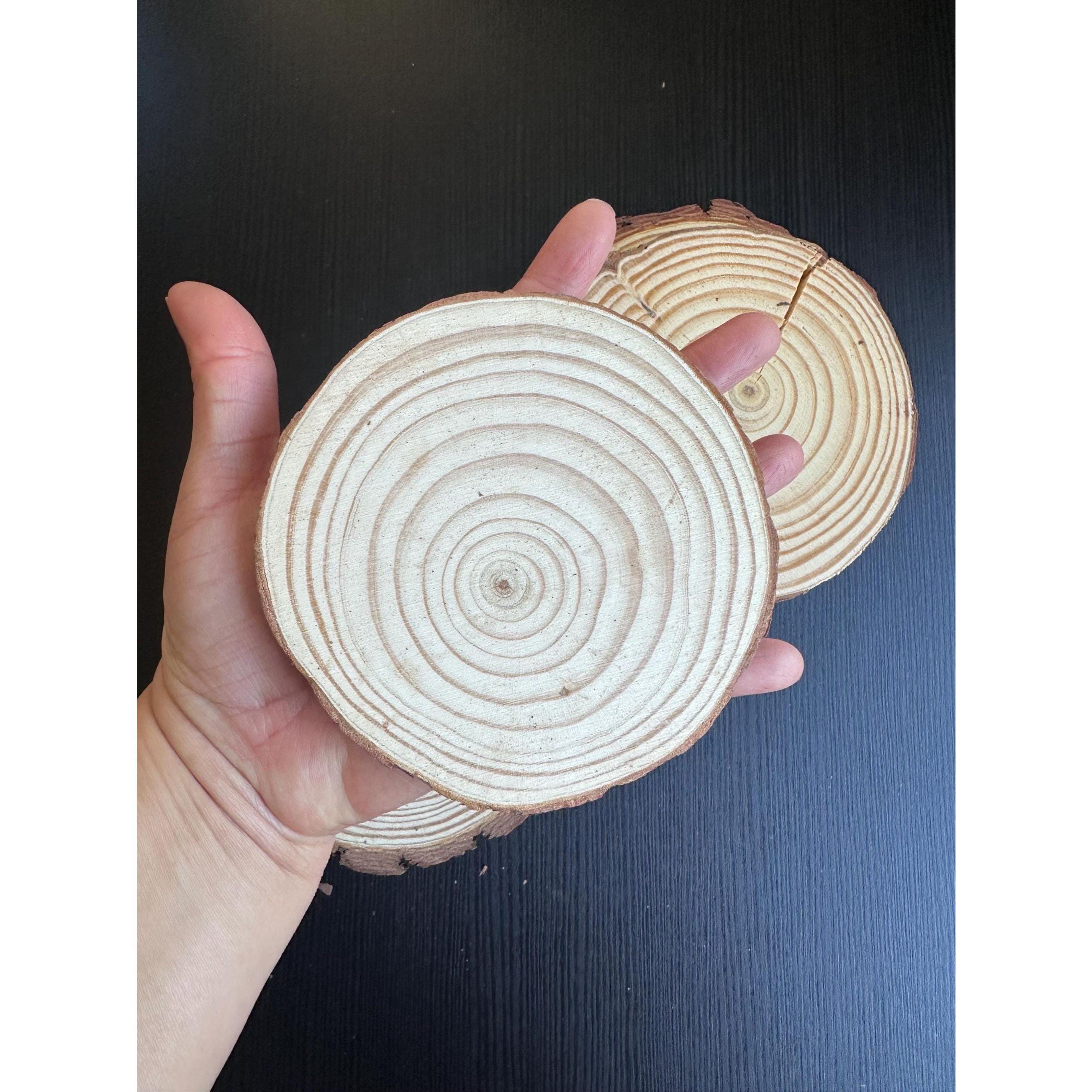 Unfinished Wood Slices (20 pcs) | Rustic Craft Kit for Wedding & DIY Decor. Ship fast!