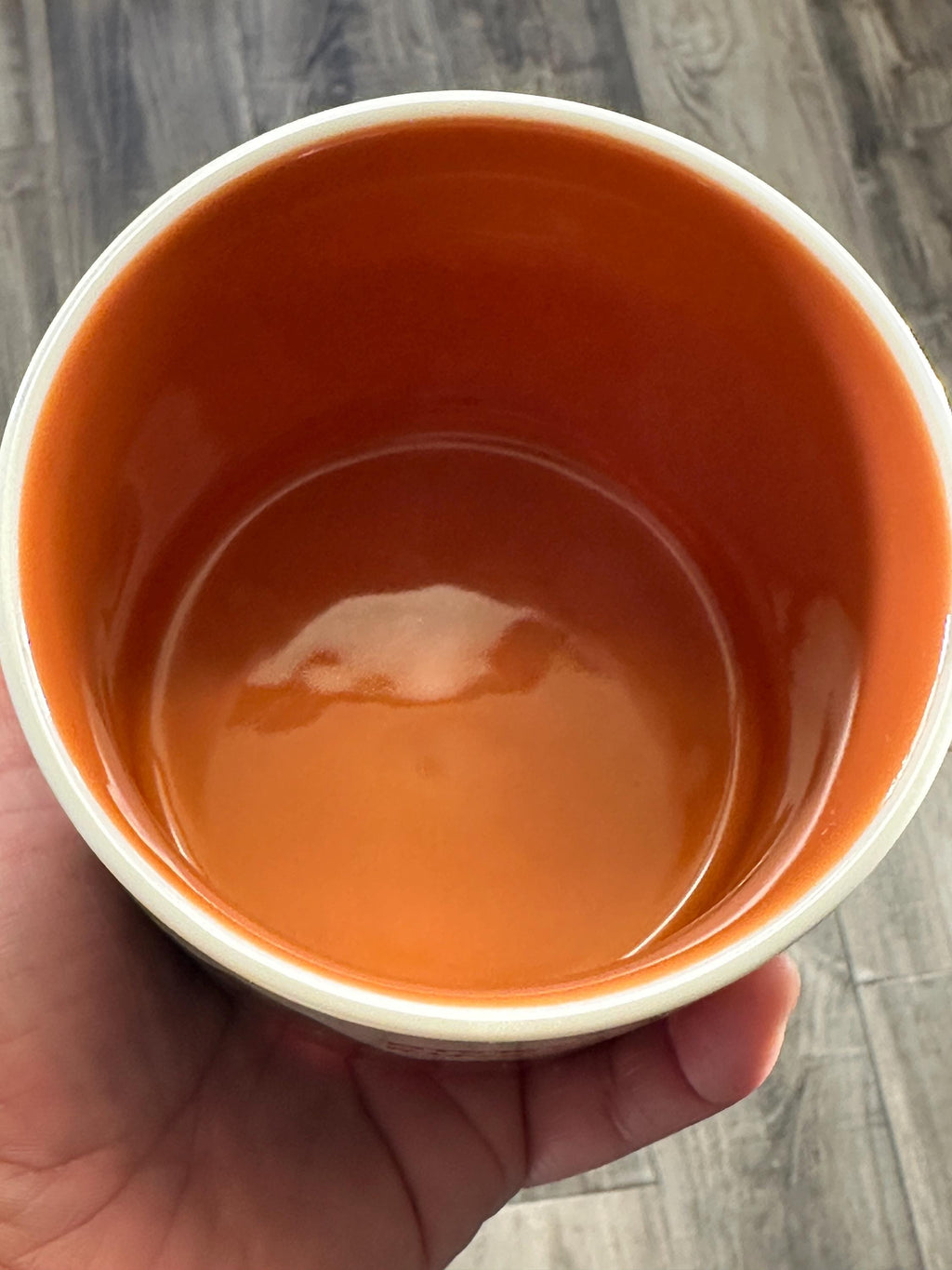 Starbucks Disney's Animal Kingdom You Are Here Mug. Ship Fast!