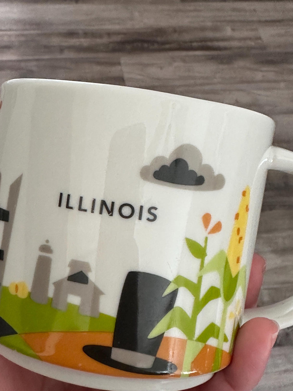 Starbucks You Are Here Illinois Mug 2015 | 14 oz Collectible Coffee Cup. Ship Fast!