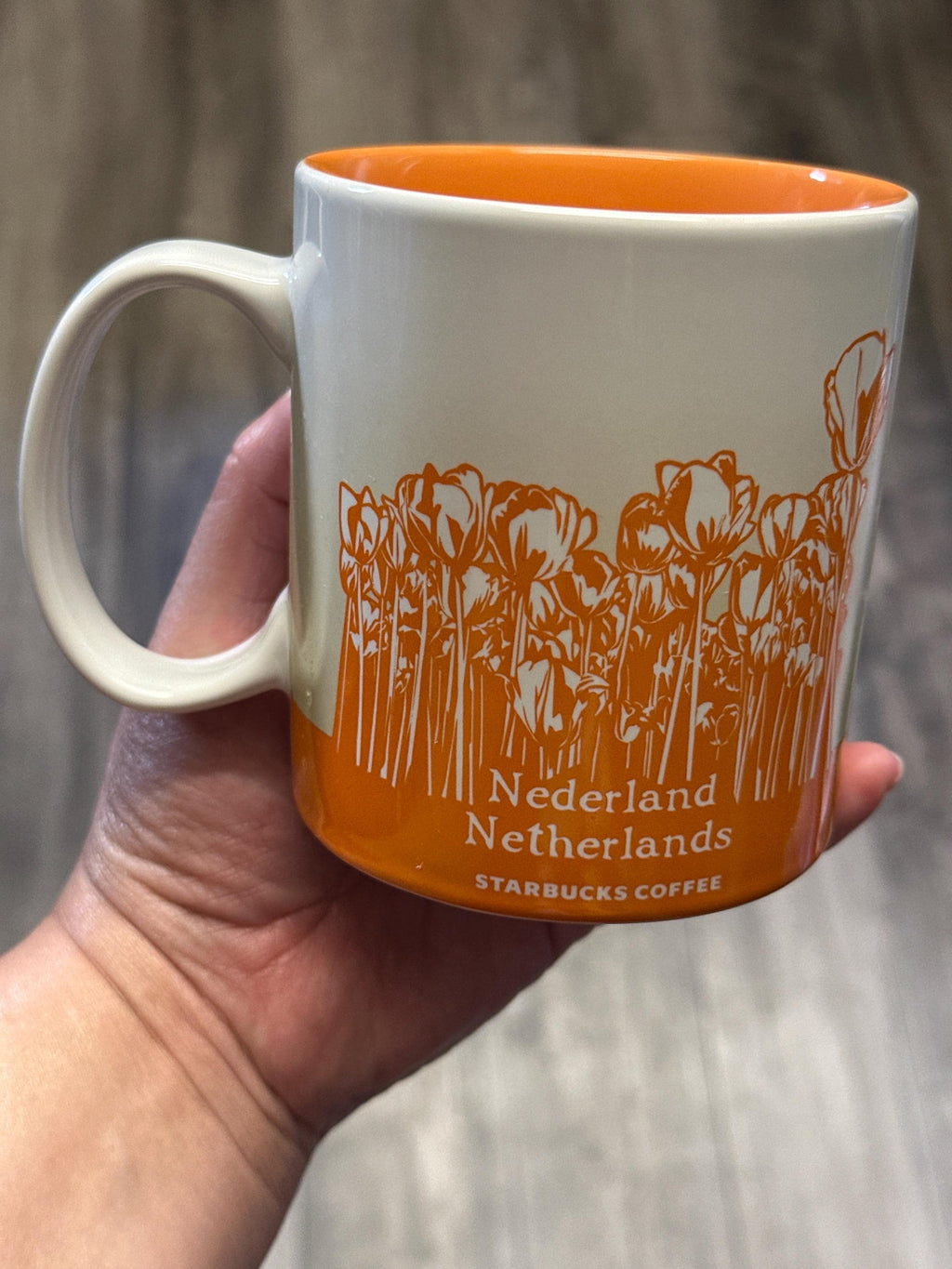 Starbucks Netherlands Collector Series Mug 16oz Global Icon Coffee Cup EUC