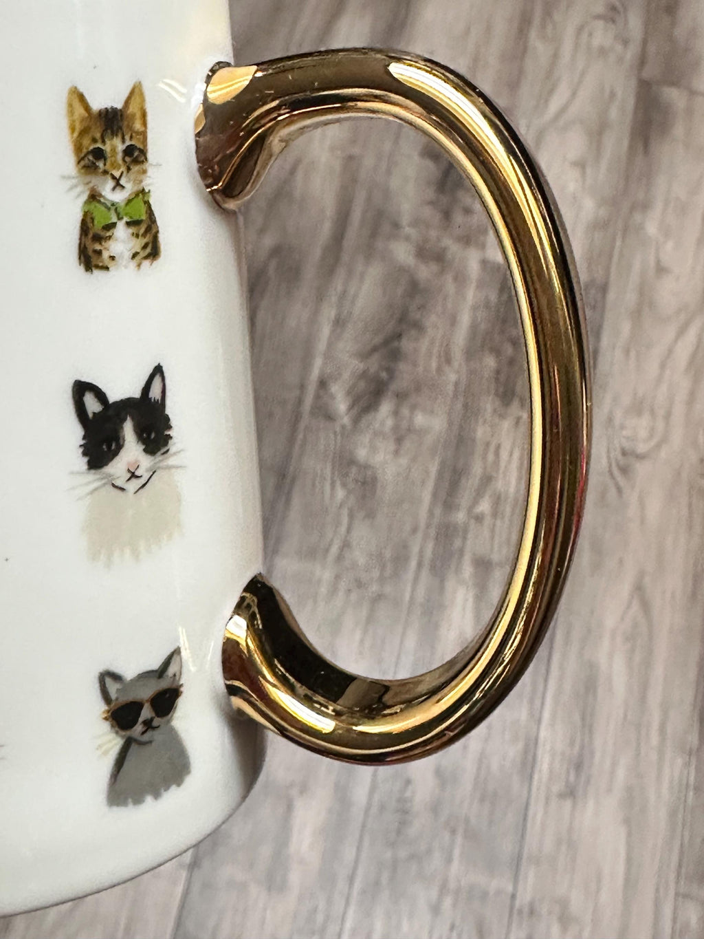 Colorful Cat Faces Coffee Mug with Gold Handle, 12 oz