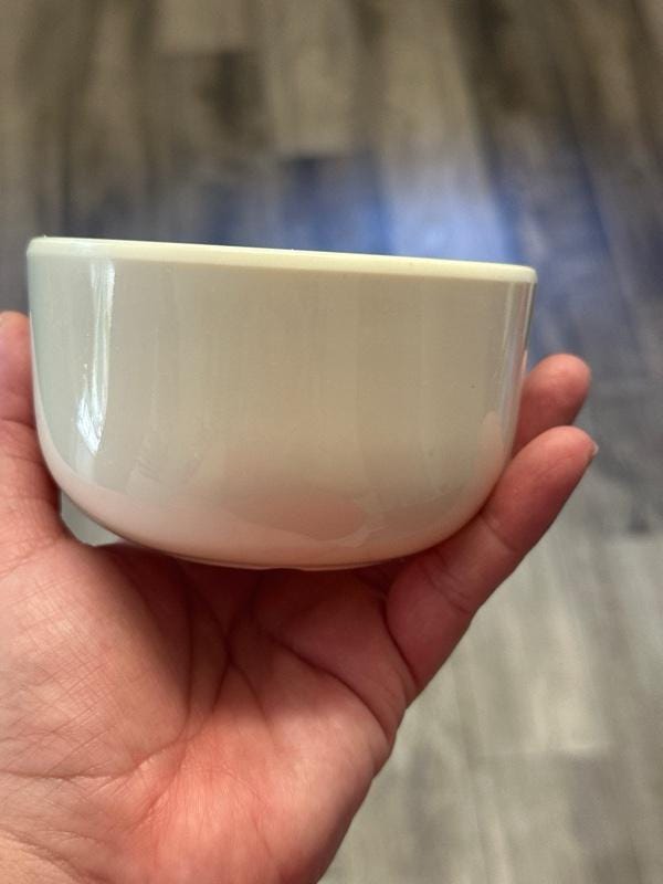 Mini Mushroom Soup Bowl 10oz Universal Studios Collectible Bowl. Ship fast!