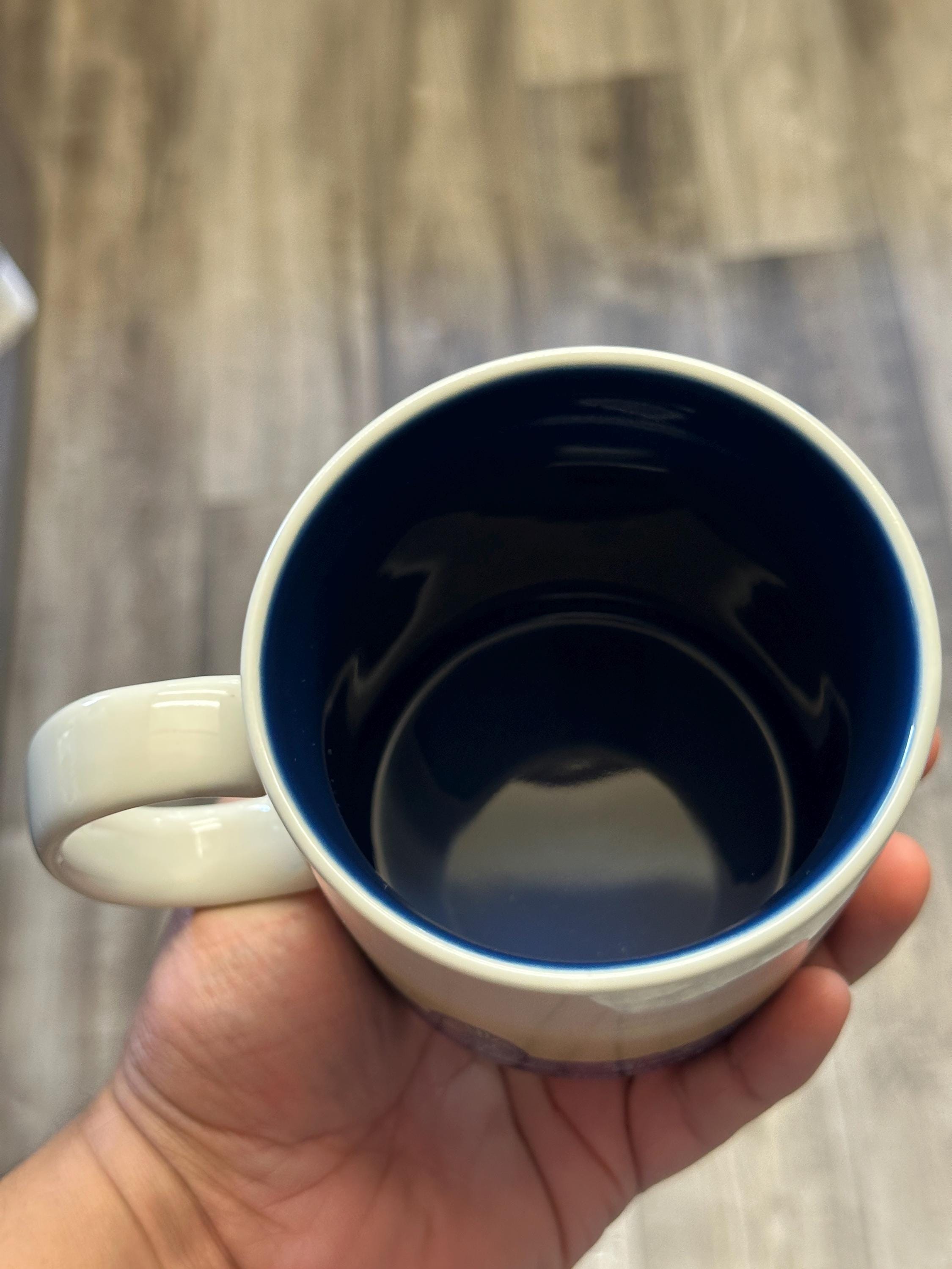 Starbucks Niagara Falls Mug 2012 | 16 oz Retired Collectible. Ship Fast!