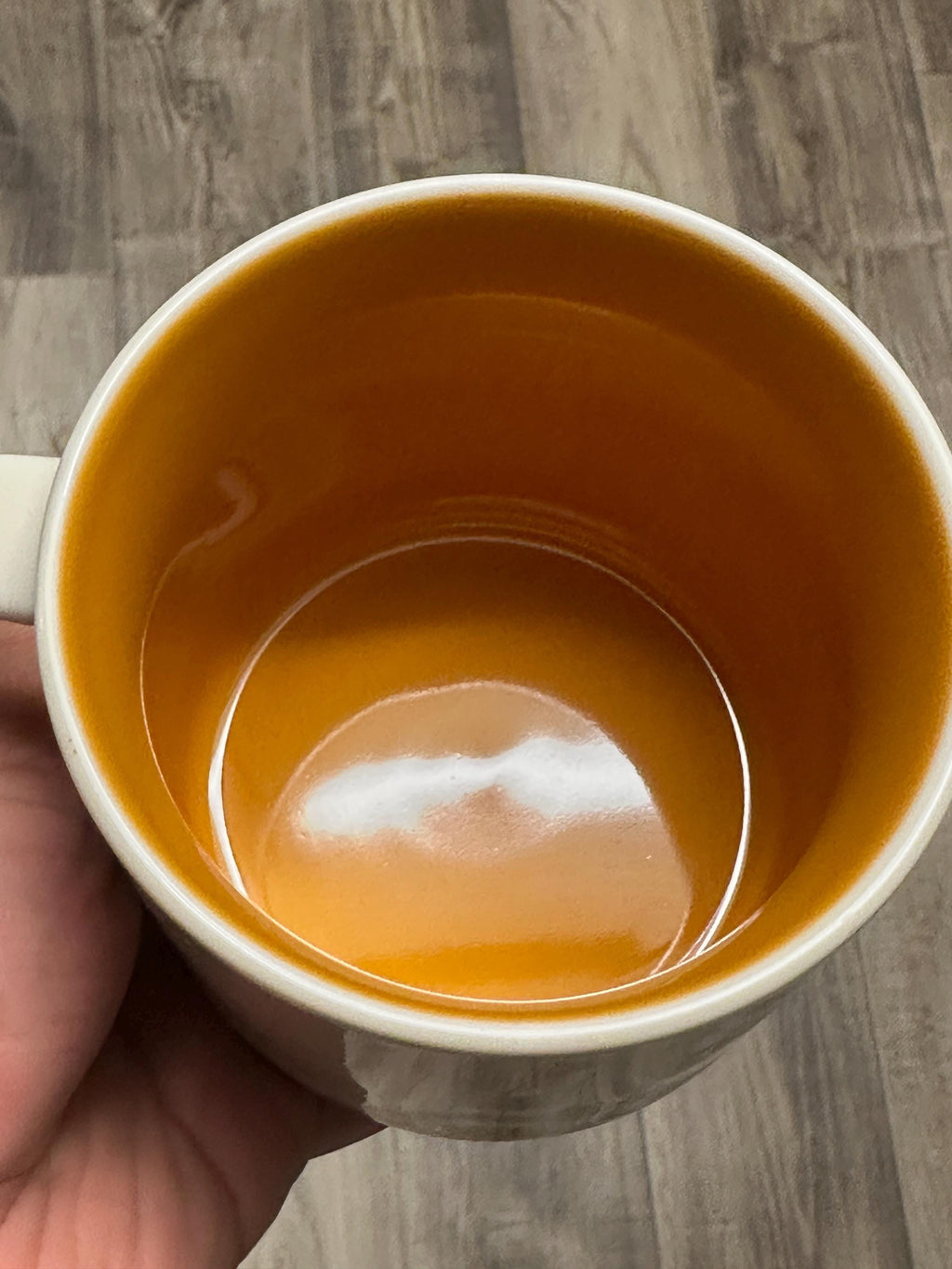 Starbucks Orlando You are here Mug 14oz. Ship Fast!
