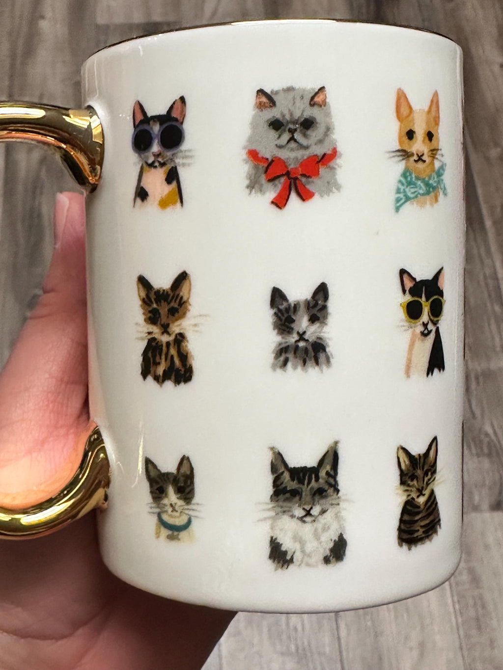 Colorful Cat Faces Coffee Mug with Gold Handle, 12 oz