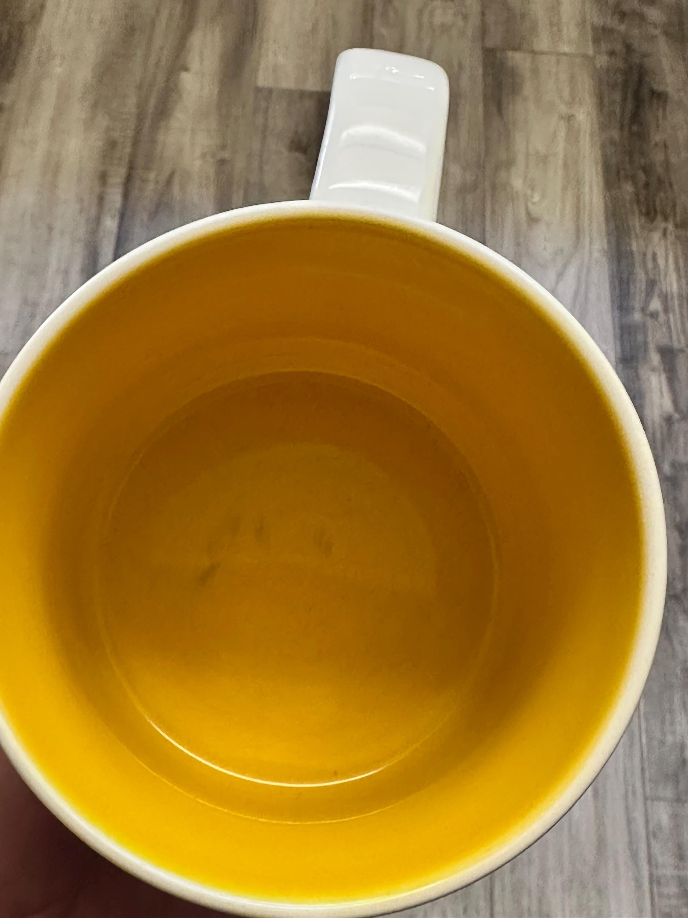 Starbucks Florida Mug: You Are Here Series, collectible. Ship Fast!