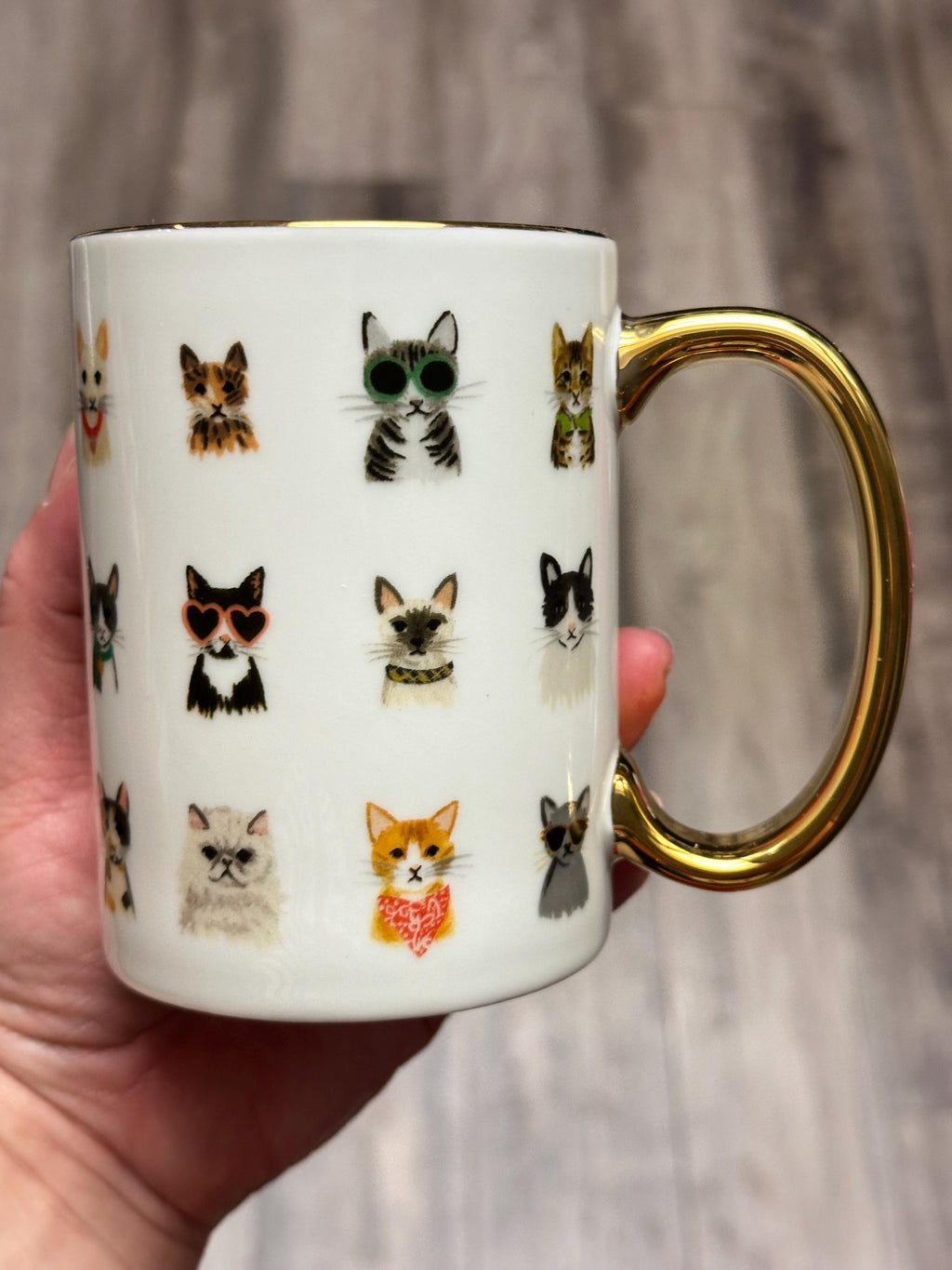 Colorful Cat Faces Coffee Mug with Gold Handle, 12 oz