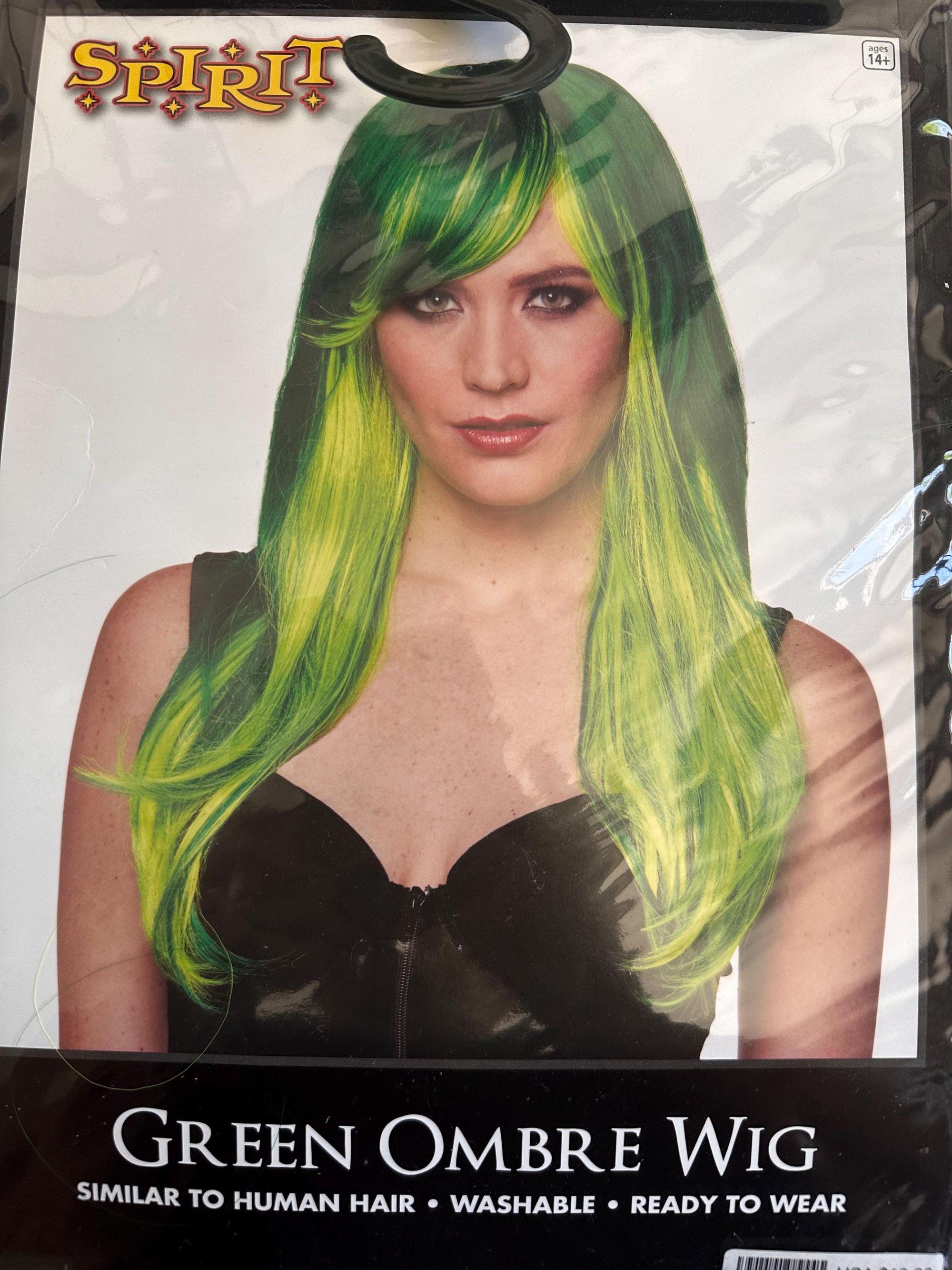 Green Ombre Wig: 19" Synthetic Hair, Halloween Costume | Little Joy Market