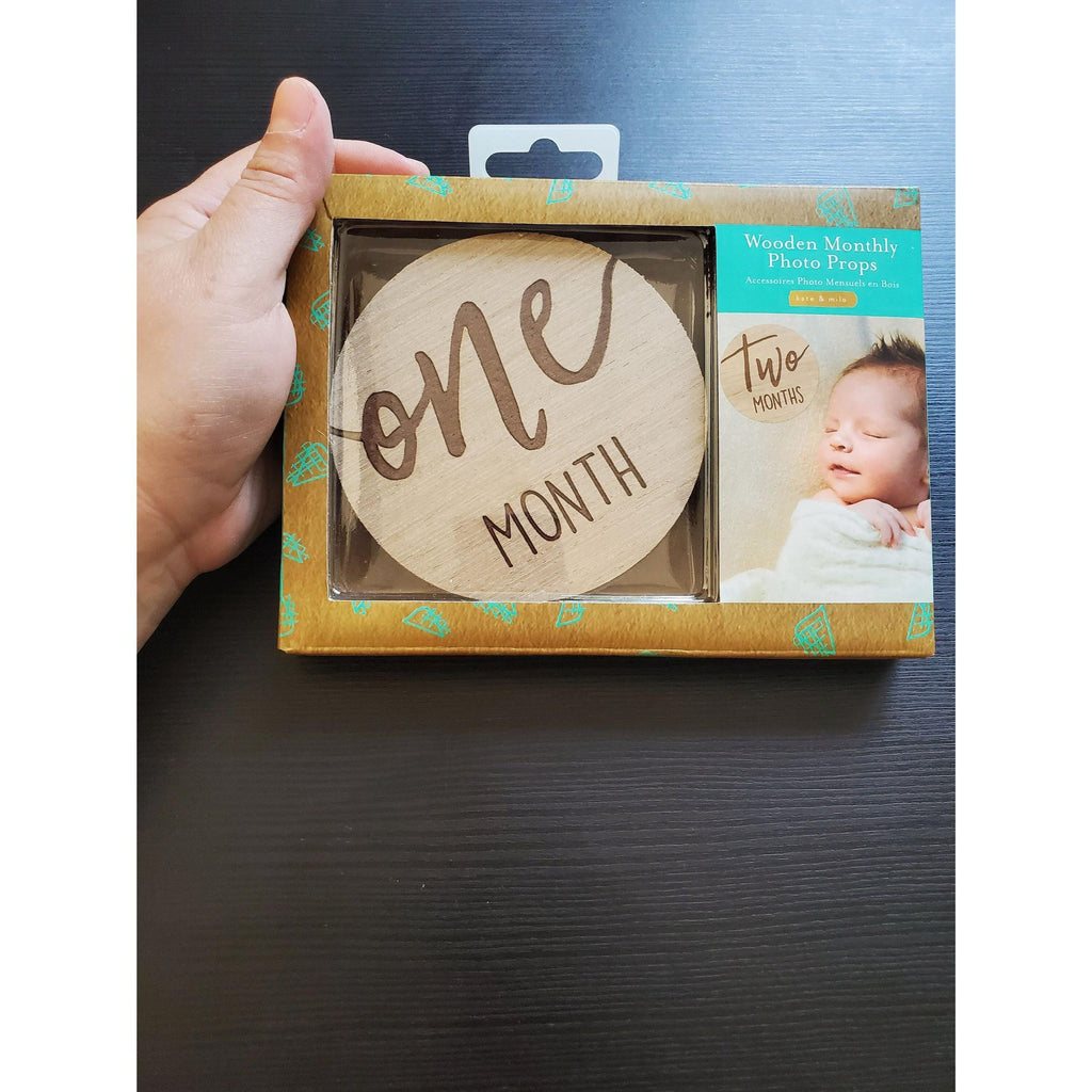 Safari Animal Canvas Prints: Baby Room Decor, Wooden Photo Props, Clip Holder