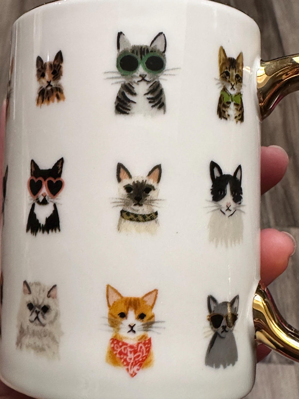 Colorful Cat Faces Coffee Mug with Gold Handle, 12 oz